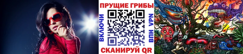 Псилоцибиновые грибы Magic Shrooms  сколько стоит  Вилючинск 