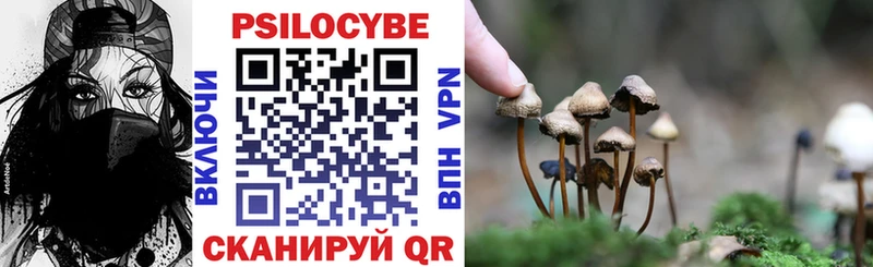 Псилоцибиновые грибы Psilocybe Вилючинск